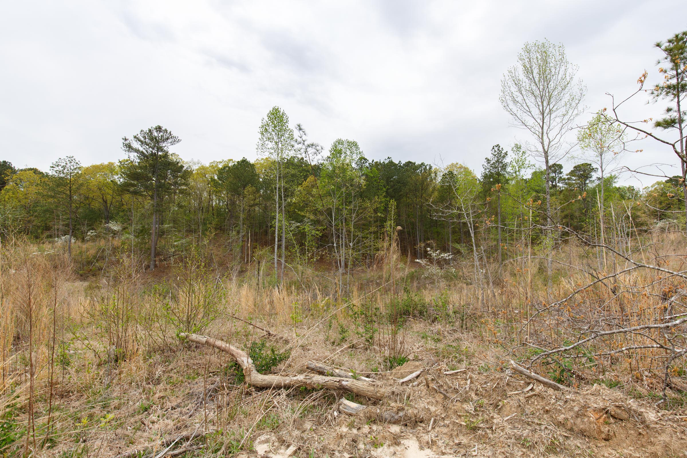 Tract 13 at Twin Rivers in Henderson County, Tennessee