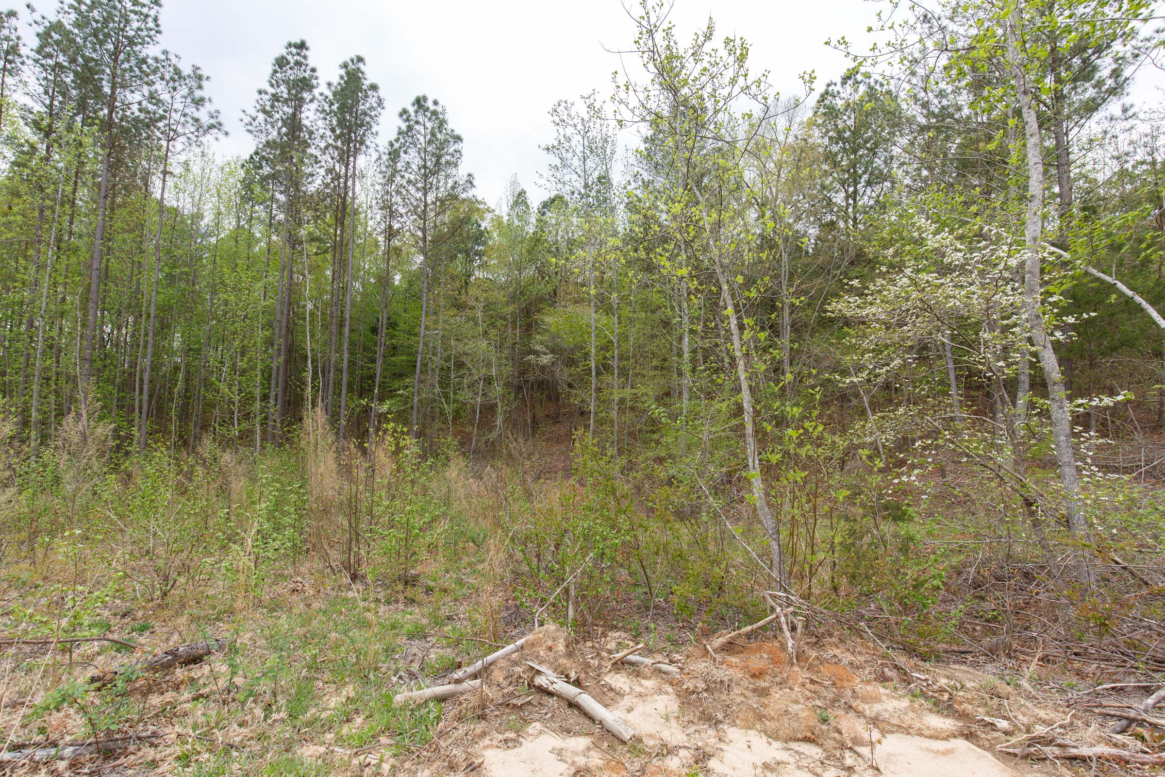 Tract 15 at Twin Rivers in Henderson County, Tennessee