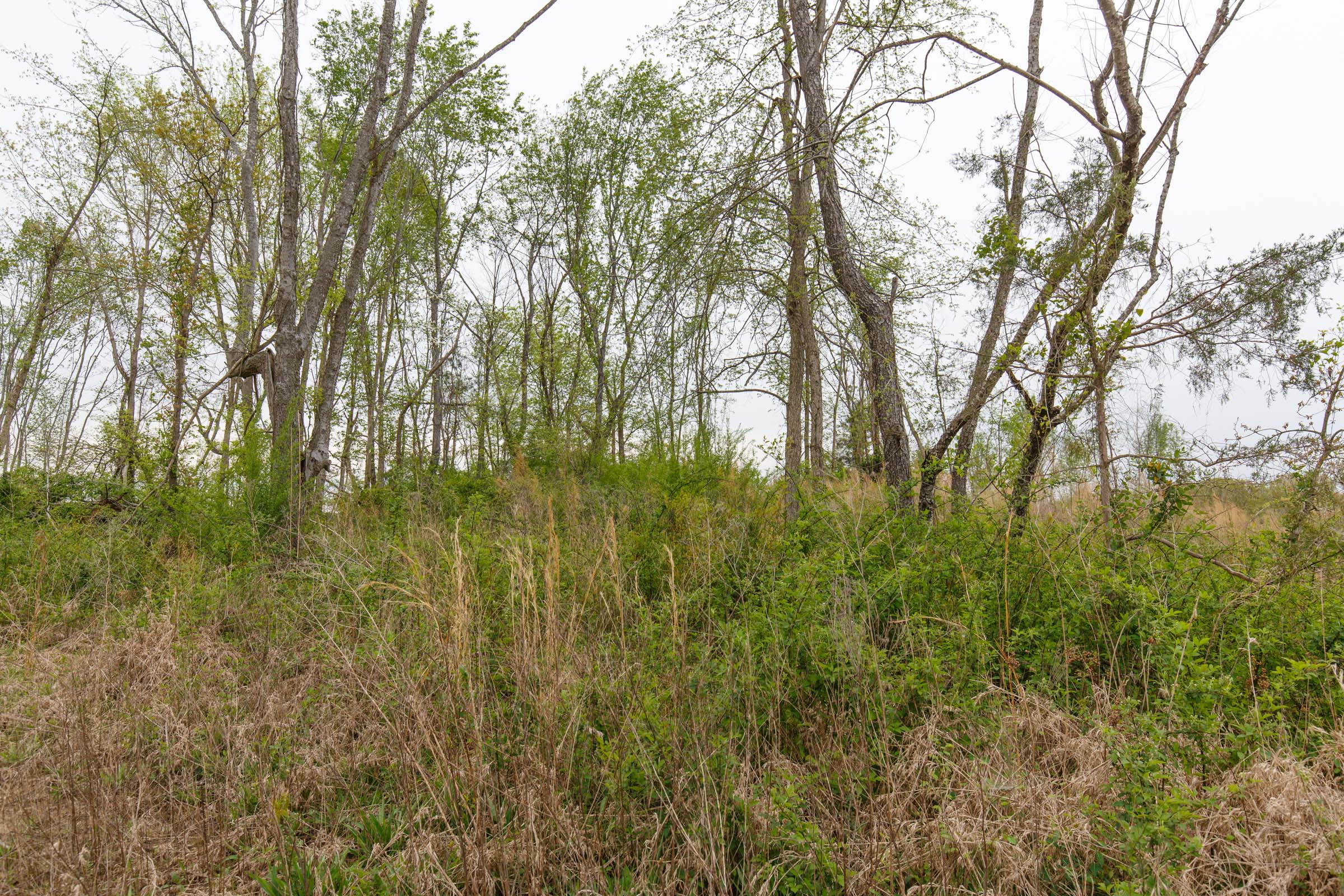 Tract 23 at Twin Rivers in Henderson County, Tennessee