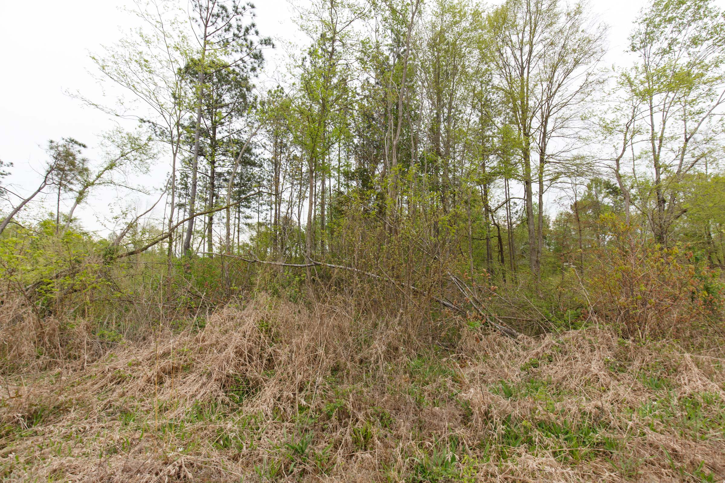 Tract 28 at Twin Rivers in Henderson County, Tennessee