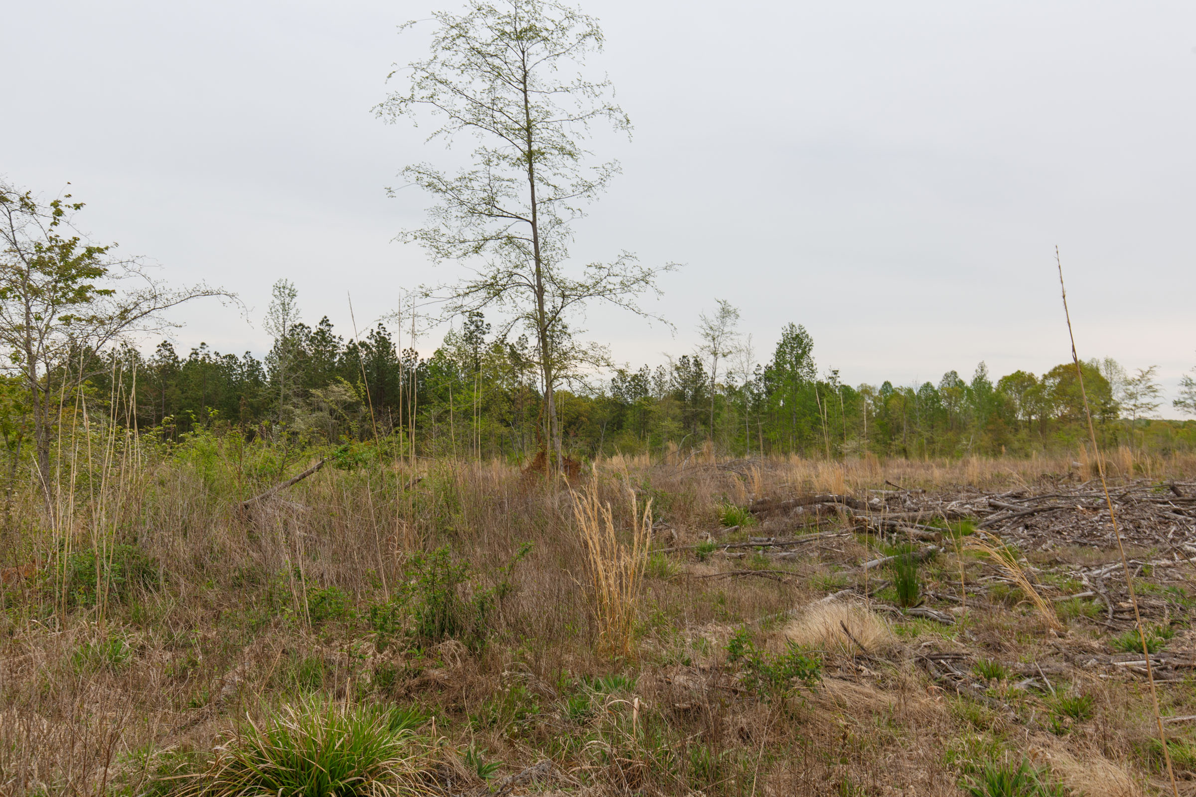 Tract 30 at Twin Rivers in Henderson County, Tennessee