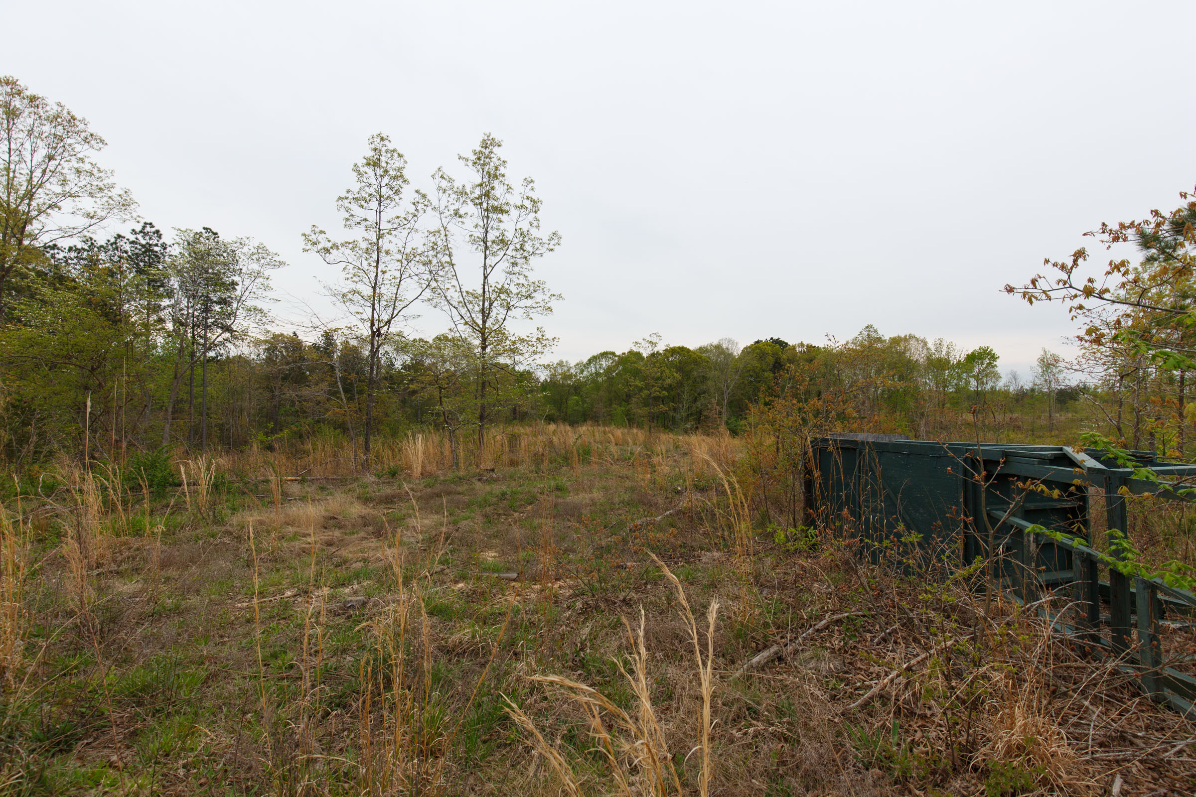 Tract 35 at Twin Rivers in Henderson County, Tennessee