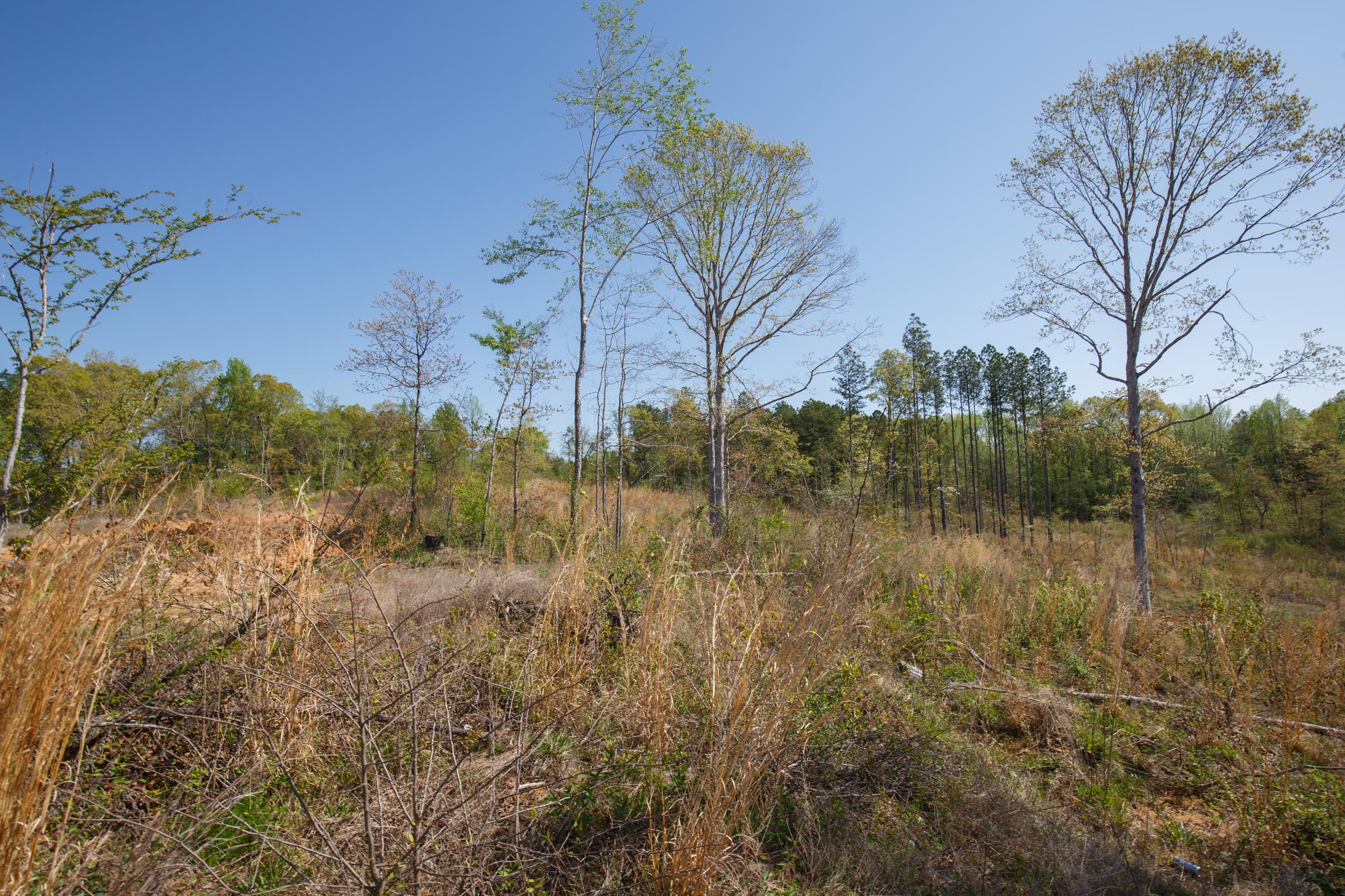 Tract 4 at Twin Rivers in Henderson County, Tennessee