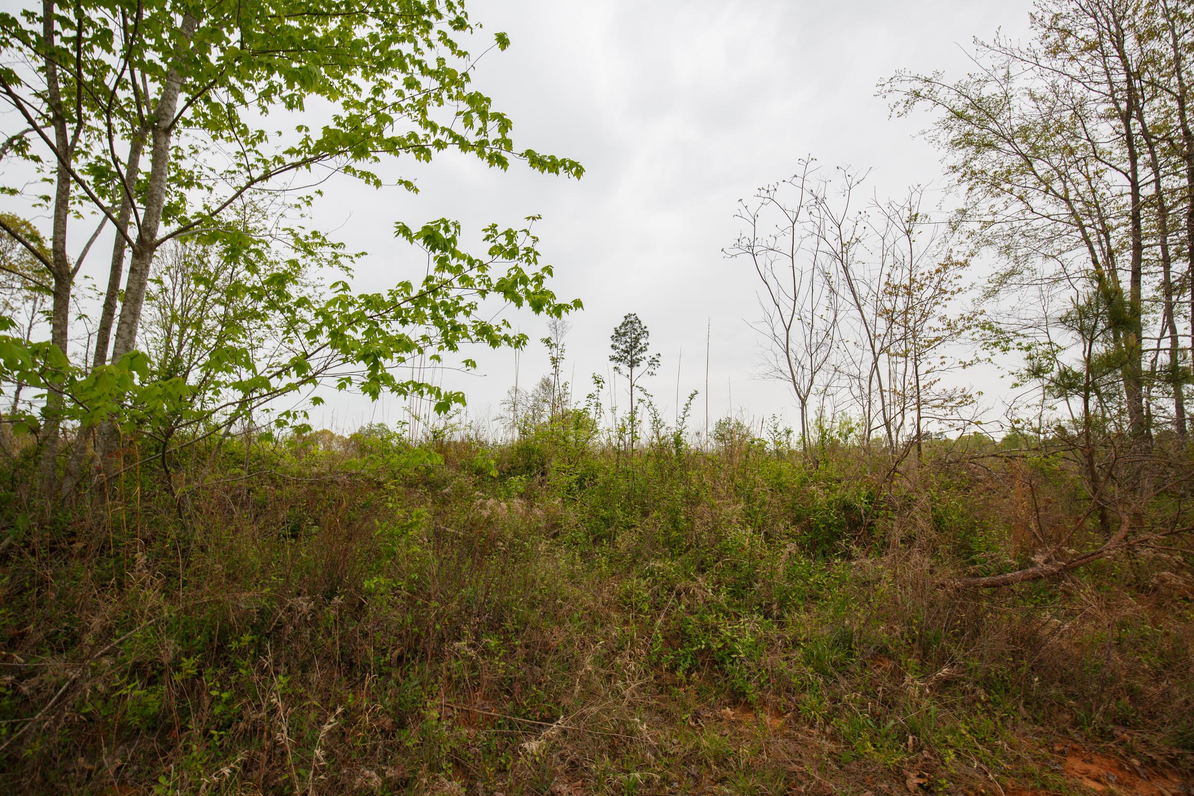 Tract 7 at Twin Rivers in Henderson County, Tennessee