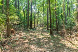 property photo for Whiskey Ridge Tract 108, 10.84 acres for sale in Henderson County, Tennessee