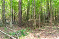 property photo for Whiskey Ridge Tract 108, 10.84 acres for sale in Henderson County, Tennessee
