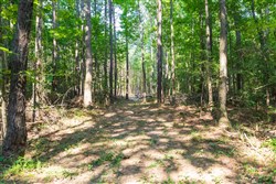property photo for Whiskey Ridge Tract 108, 10.84 acres for sale in Henderson County, Tennessee