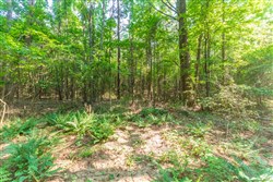 property photo for Whiskey Ridge Tract 108, 10.84 acres for sale in Henderson County, Tennessee