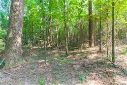 property photo for Whiskey Ridge Tract 108, 10.84 acres for sale in Henderson County, Tennessee