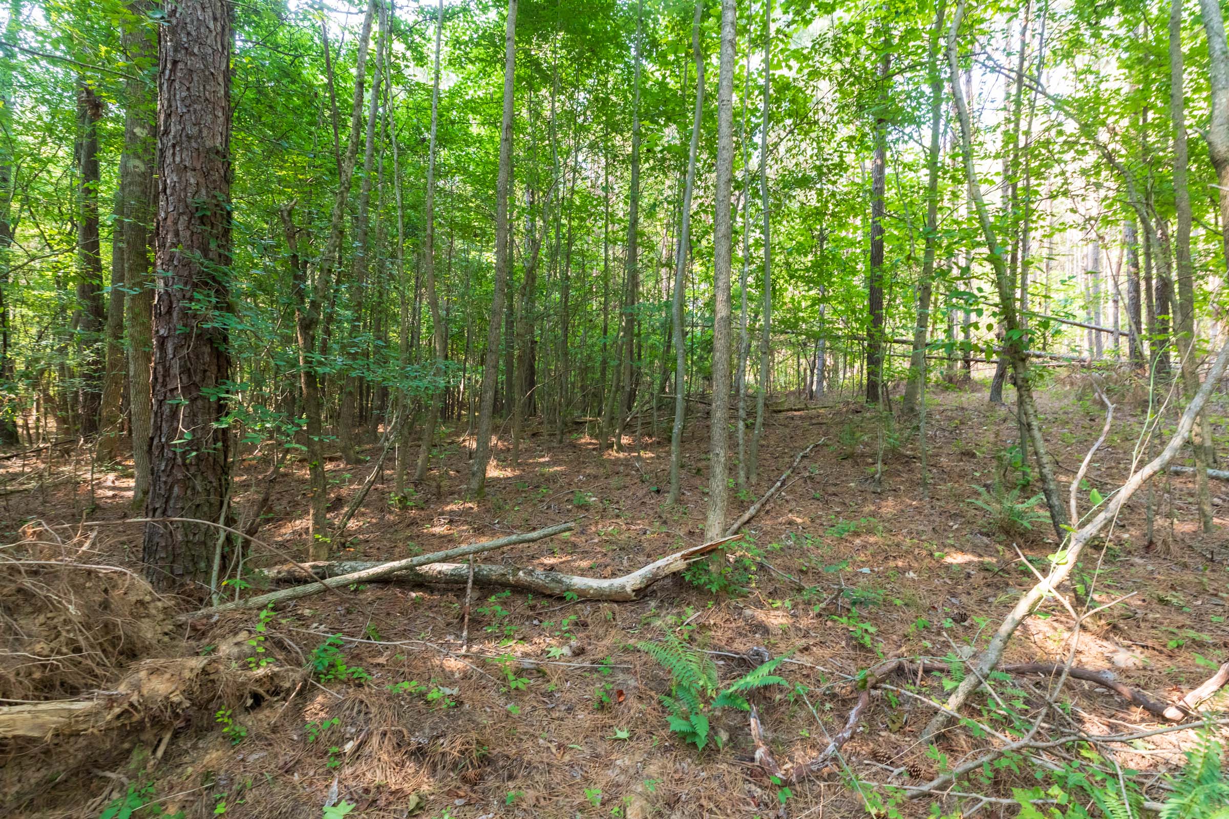 Tract 111 at Whiskey Ridge in Henderson County, Tennessee