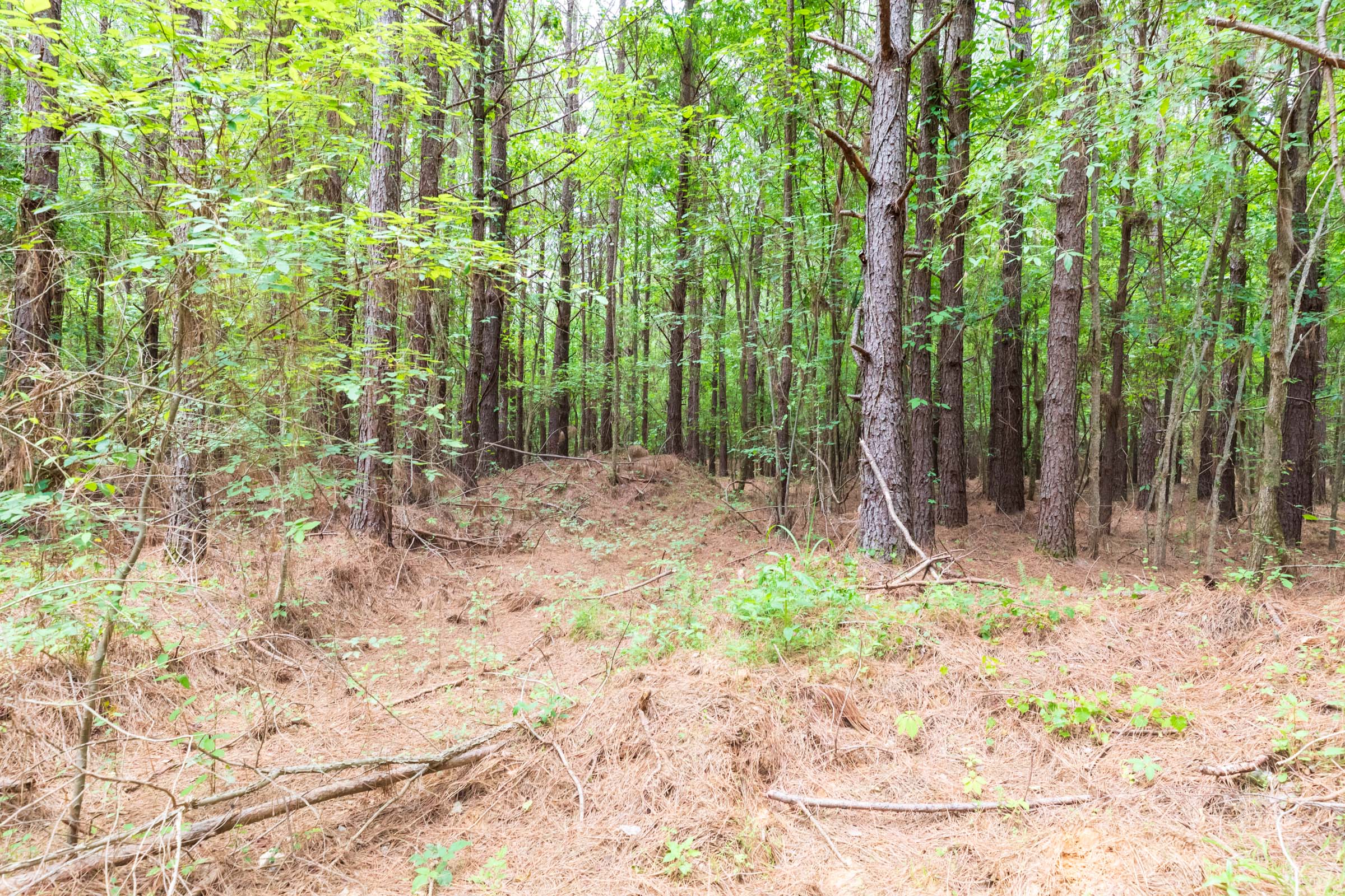 Tract 26 at Whiskey Ridge in Henderson County, Tennessee