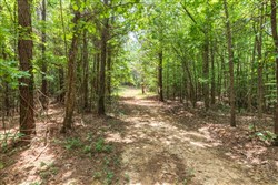 property photo for Whiskey Ridge Tract 28, 17.07 acres for sale in Henderson County, Tennessee