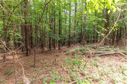 property photo for Whiskey Ridge Tract 28, 17.07 acres for sale in Henderson County, Tennessee