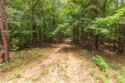 property photo for Whiskey Ridge Tract 28, 17.07 acres for sale in Henderson County, Tennessee