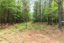 property photo for Whiskey Ridge Tract 28, 17.07 acres for sale in Henderson County, Tennessee