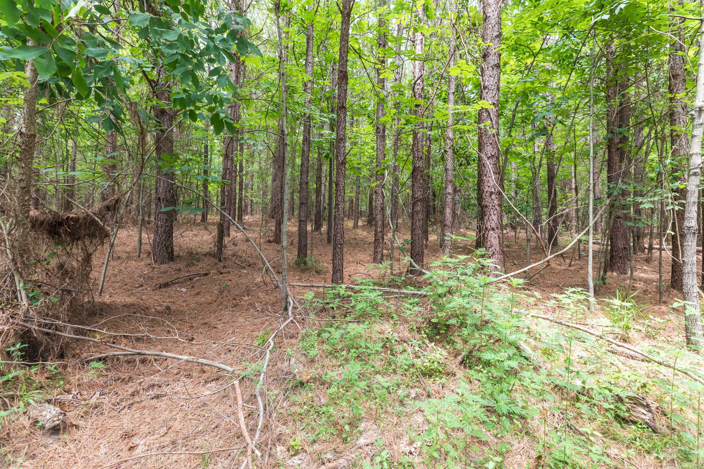 Tract 32 at Whiskey Ridge in Henderson County, Tennessee