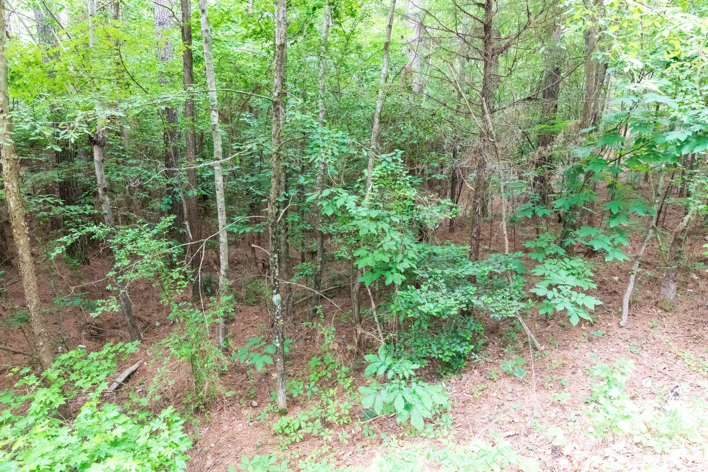 Tract 39 at Whiskey Ridge in Henderson County, Tennessee
