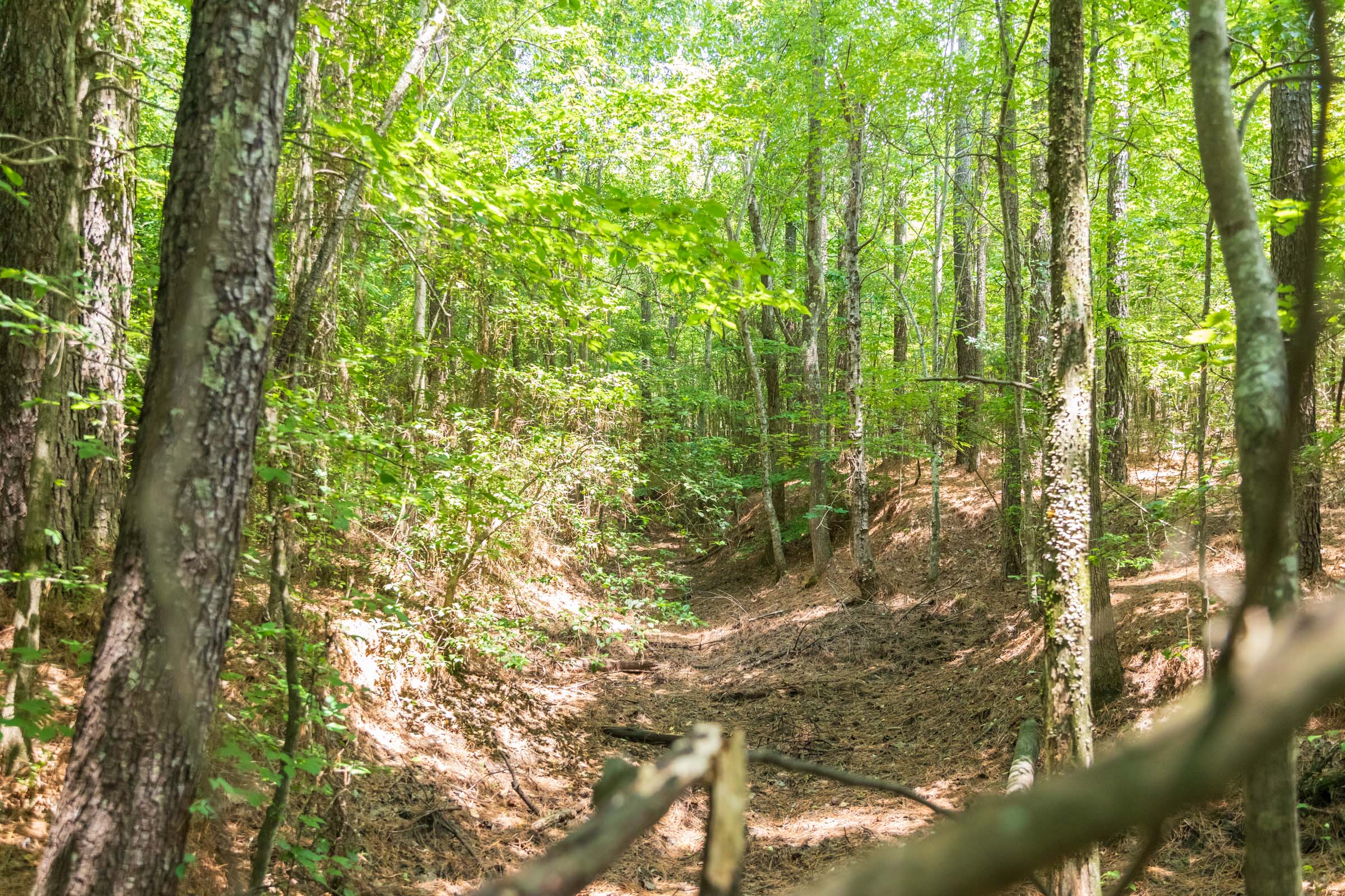 Tract 48 at Whiskey Ridge in Henderson County, Tennessee