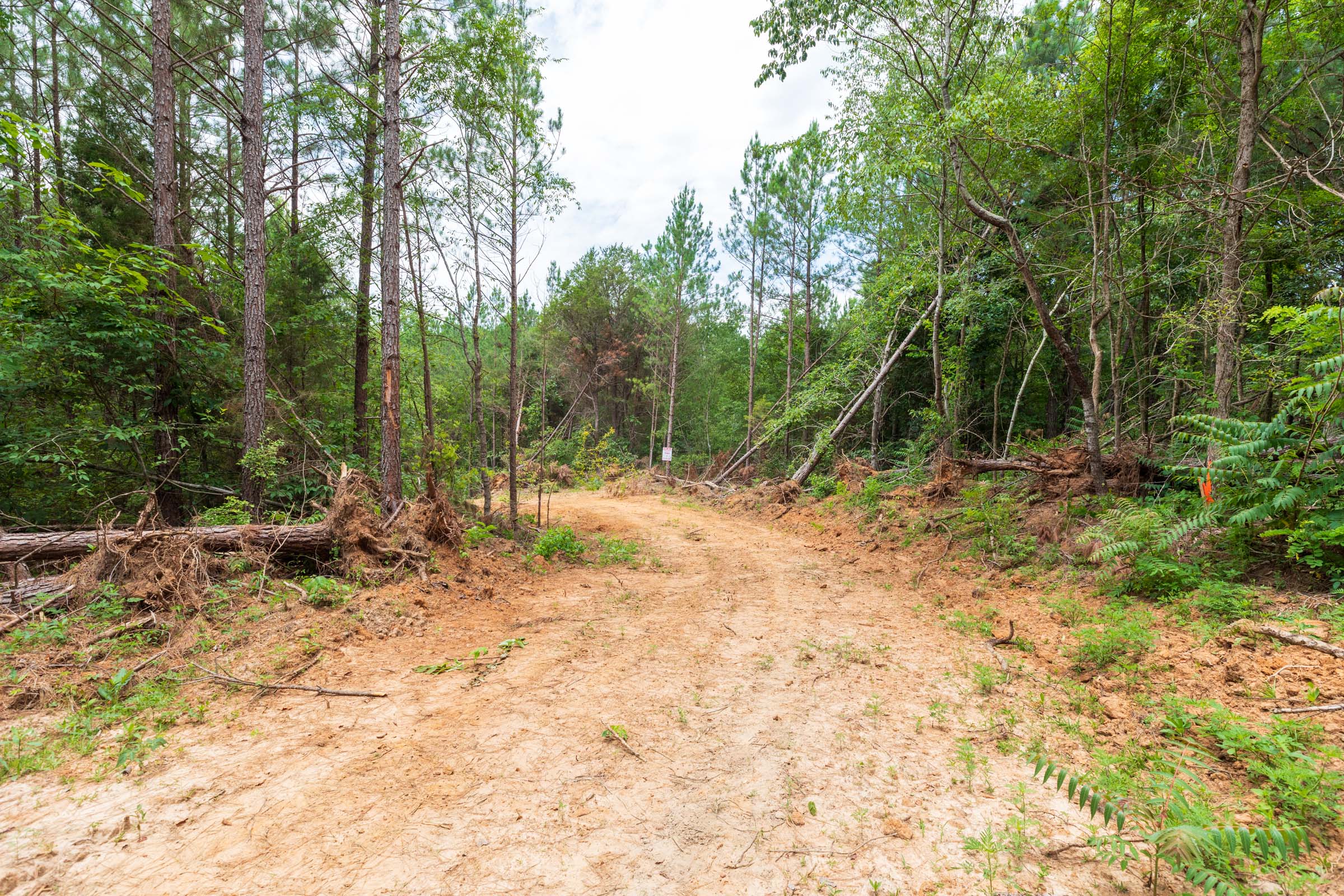 Tract 5 at Whiskey Ridge in Henderson County, Tennessee