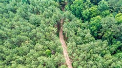 property photo for Whiskey Ridge Tract 63, 8.36 acres for sale in Henderson County, Tennessee