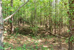 property photo for Whiskey Ridge Tract 63, 8.36 acres for sale in Henderson County, Tennessee