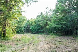 property photo for Whiskey Ridge Tract 63, 8.36 acres for sale in Henderson County, Tennessee