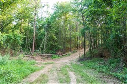 property photo for Whiskey Ridge Tract 63, 8.36 acres for sale in Henderson County, Tennessee