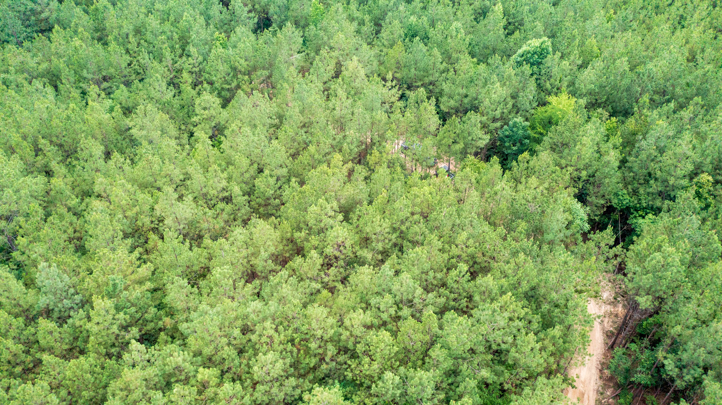 Tract 64 at Whiskey Ridge in Henderson County, Tennessee