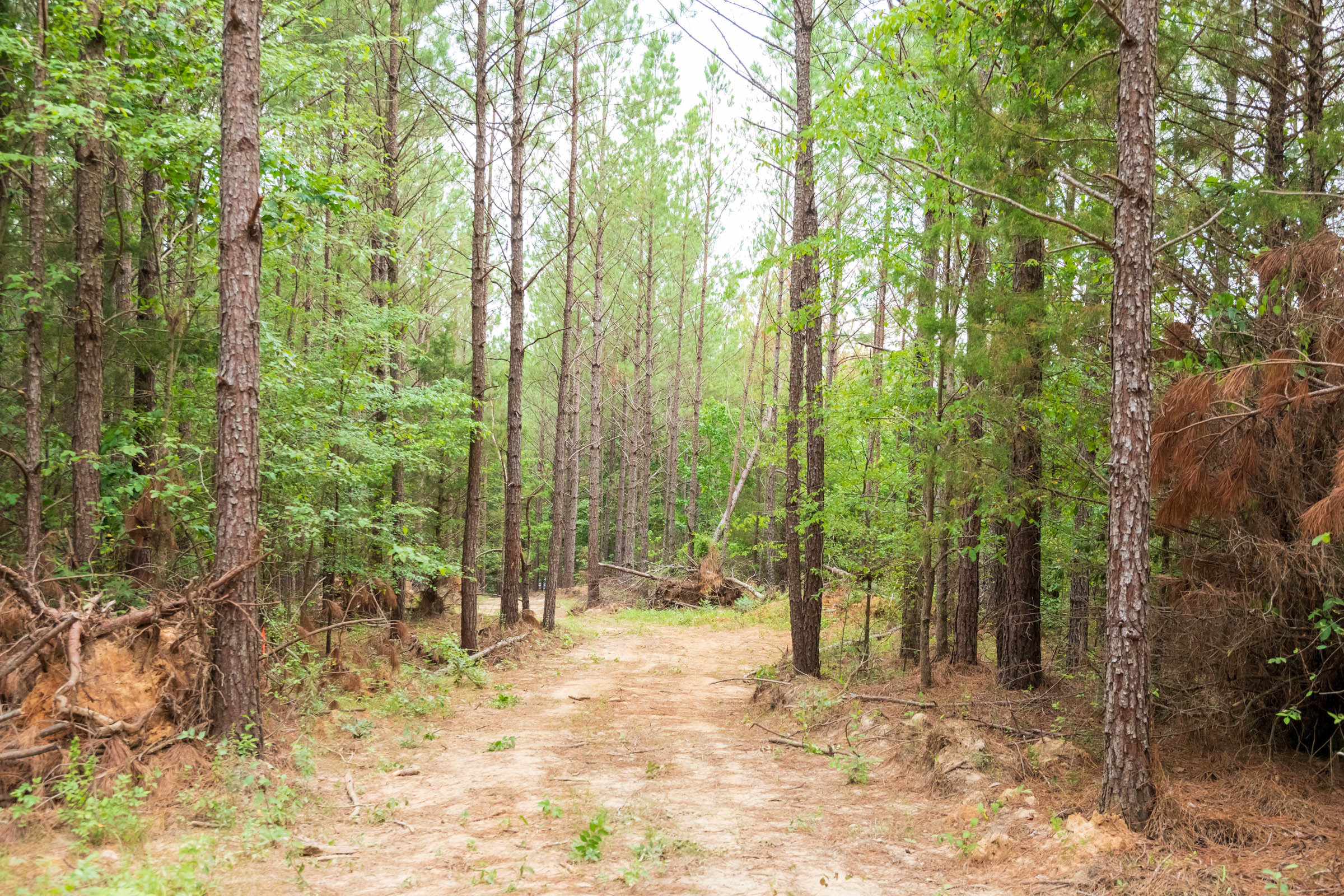 Tract 65 at Whiskey Ridge in Henderson County, Tennessee
