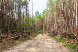 property photo for Whiskey Ridge Tract 96, 7.71 acres for sale in Henderson County, Tennessee