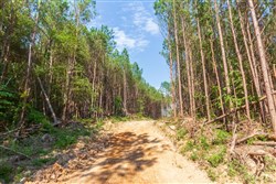 property photo for Whiskey Ridge Tract 96, 7.71 acres for sale in Henderson County, Tennessee