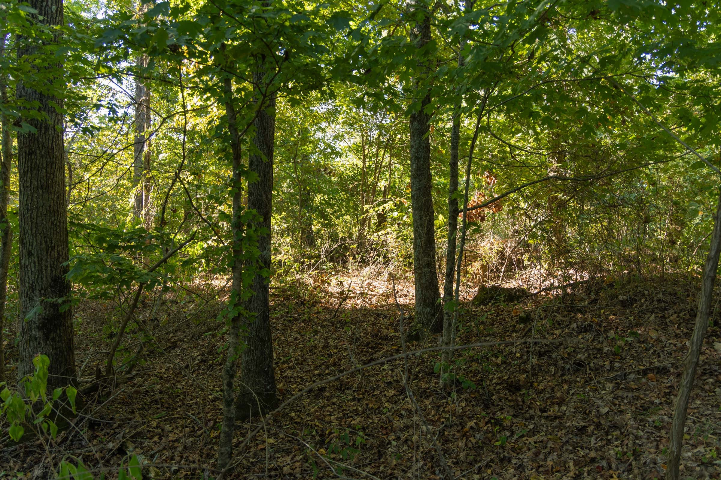 Tract 101 at Big White Oak in Perry County, Tennessee