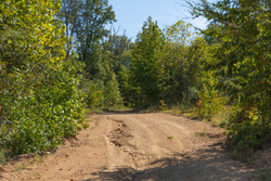 property photo for Big White Oak Tract 103, 6.97 acres for sale in Perry County, Tennessee