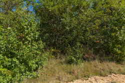 property photo for Big White Oak Tract 103, 6.97 acres for sale in Perry County, Tennessee