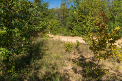 property photo for Big White Oak Tract 103, 6.97 acres for sale in Perry County, Tennessee