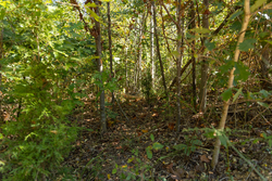 property photo for Big White Oak Tract 103, 6.97 acres for sale in Perry County, Tennessee