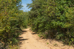 property photo for Big White Oak Tract 103, 6.97 acres for sale in Perry County, Tennessee