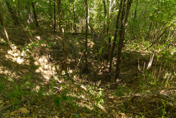 property photo for Big White Oak Tract 111, 8.51 acres for sale in Perry County, Tennessee