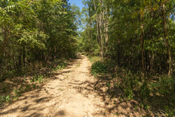 property photo for Big White Oak Tract 111, 8.51 acres for sale in Perry County, Tennessee