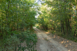 property photo for Big White Oak Tract 111, 8.51 acres for sale in Perry County, Tennessee