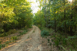 property photo for Big White Oak Tract 111, 8.51 acres for sale in Perry County, Tennessee