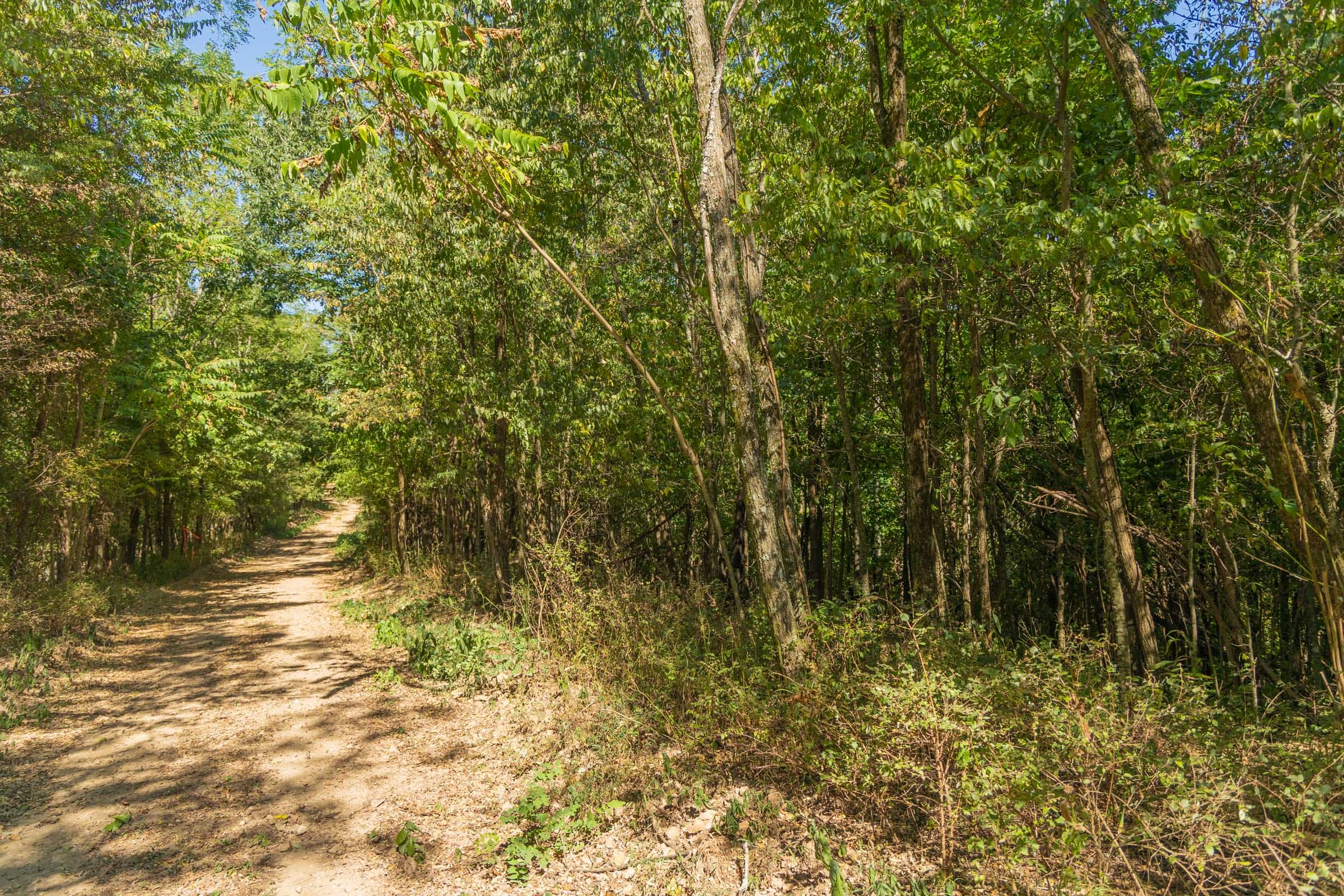 Tract 112 at Big White Oak in Perry County, Tennessee
