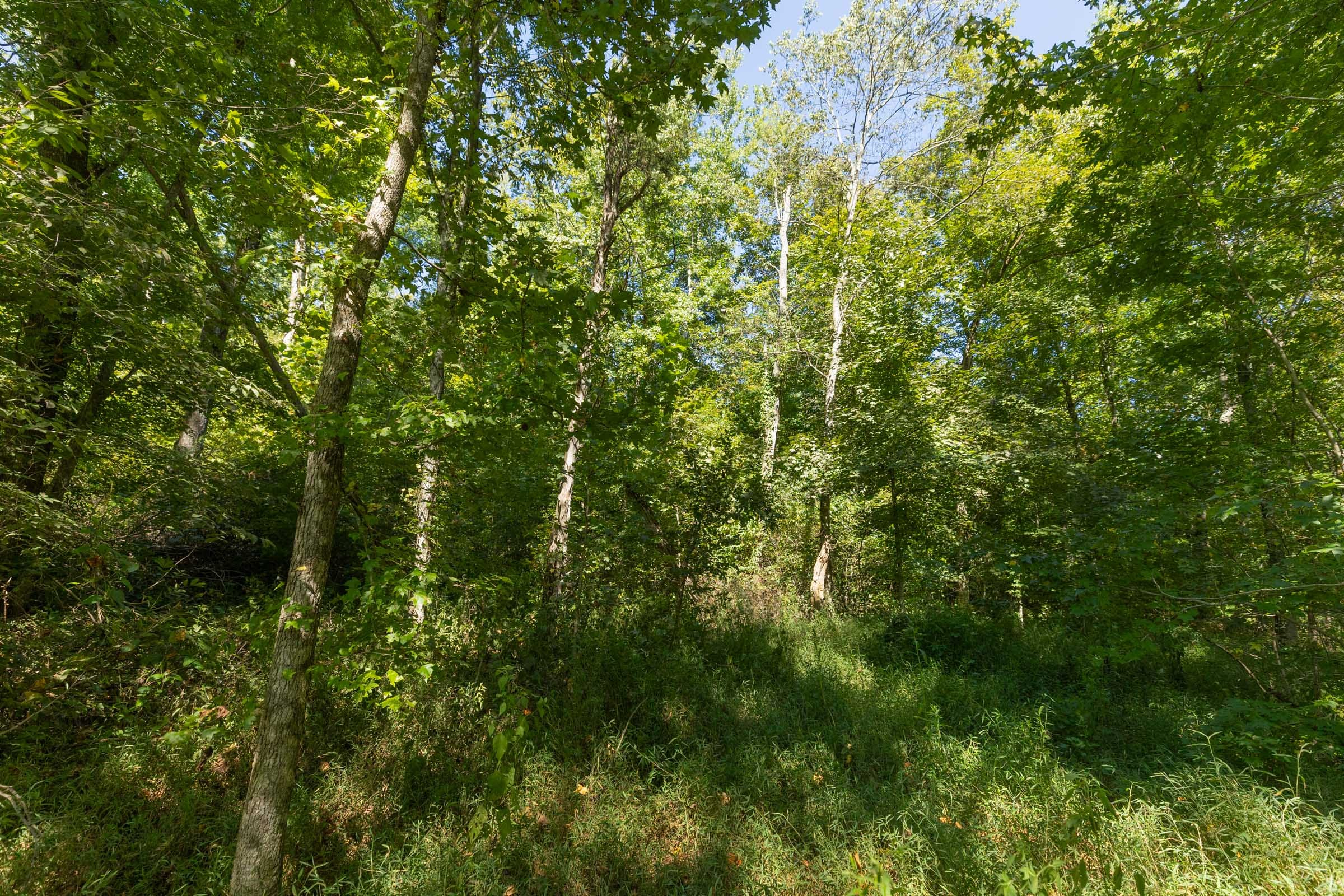 Tract 113 at Big White Oak in Perry County, Tennessee