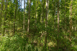property photo for Big White Oak Tract 114, 5.77 acres for sale in Perry County, Tennessee