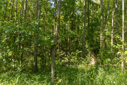 property photo for Big White Oak Tract 114, 5.77 acres for sale in Perry County, Tennessee