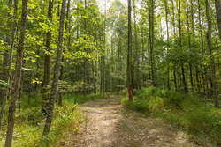 property photo for Big White Oak Tract 114, 5.77 acres for sale in Perry County, Tennessee