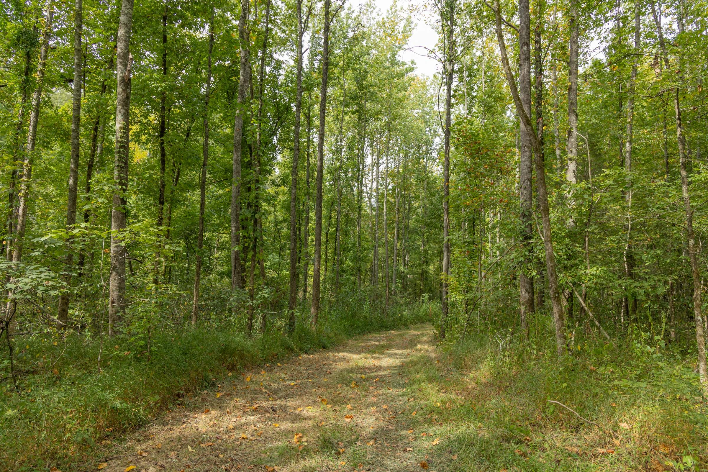 Tract 115 at Big White Oak in Perry County, Tennessee