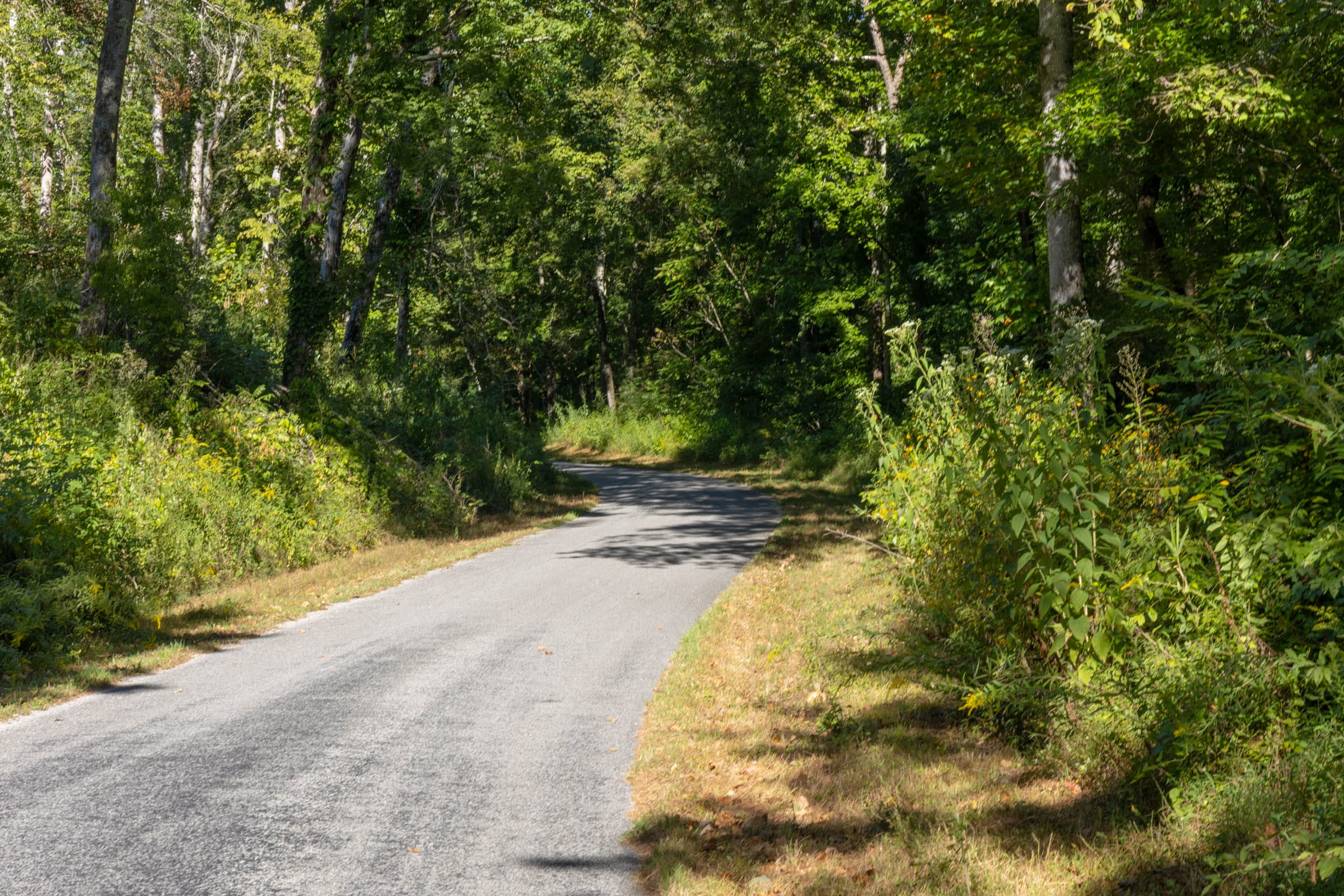 Tract 12 at Big White Oak in Perry County, Tennessee