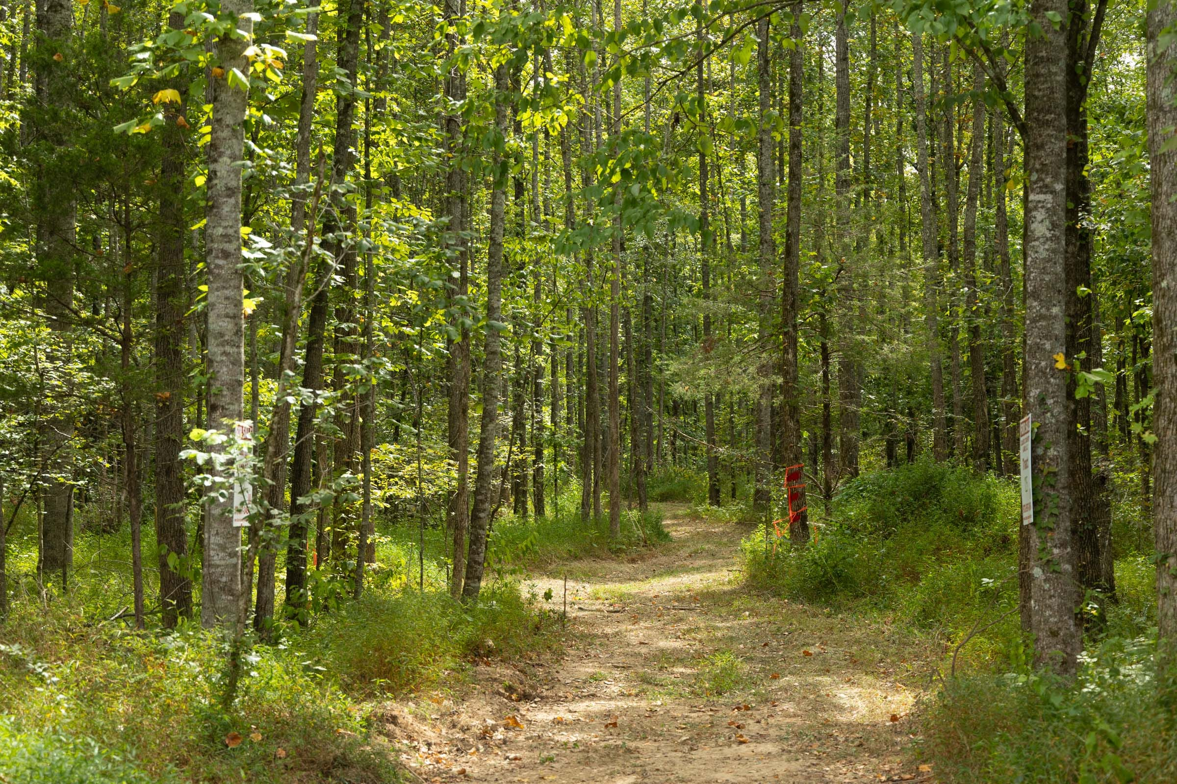 Tract 125 at Big White Oak in Perry County, Tennessee