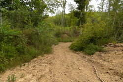 property photo for Big White Oak Tract 126, 9.1 acres for sale in Perry County, Tennessee